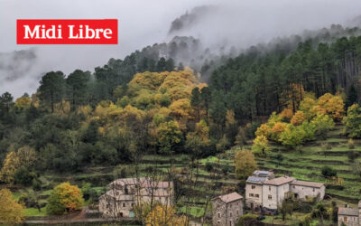 Le vignoble cévenol mis en valeur