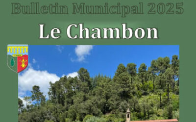 Bulletin municipal 2025