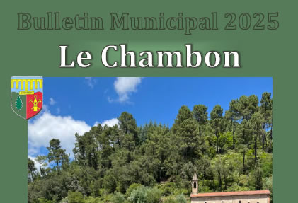 Bulletin municipal 2025